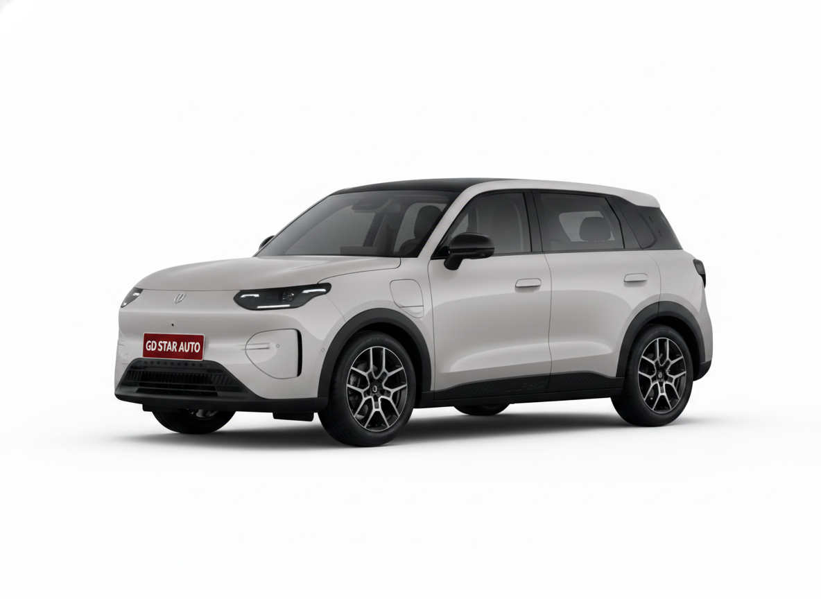 Leapmotor A10 505 Enjoy Version — 5