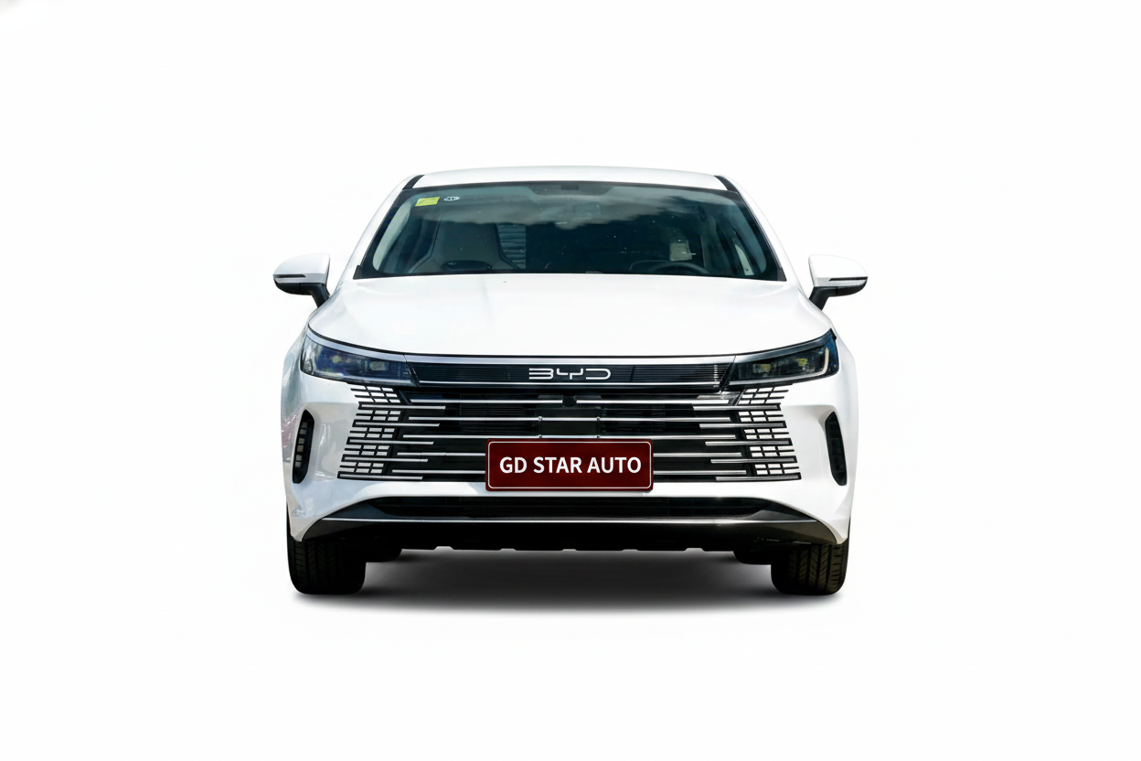 BYD Destroyer 05 DM-i 55KM Changxing Edition Plug-in Hybrid Sedan — 4