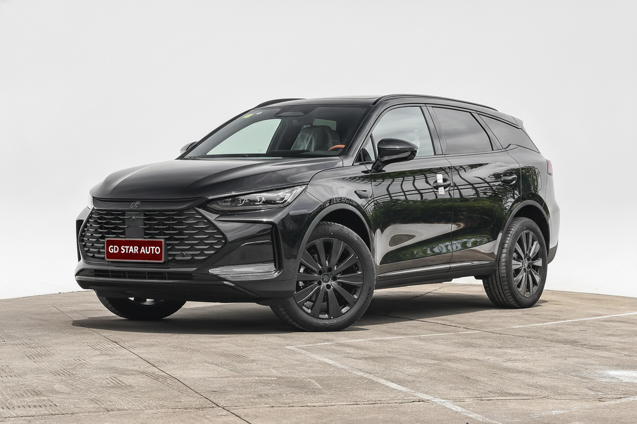 BYD Tang DM 2025 DM-i 115KM Honor Edition — 3