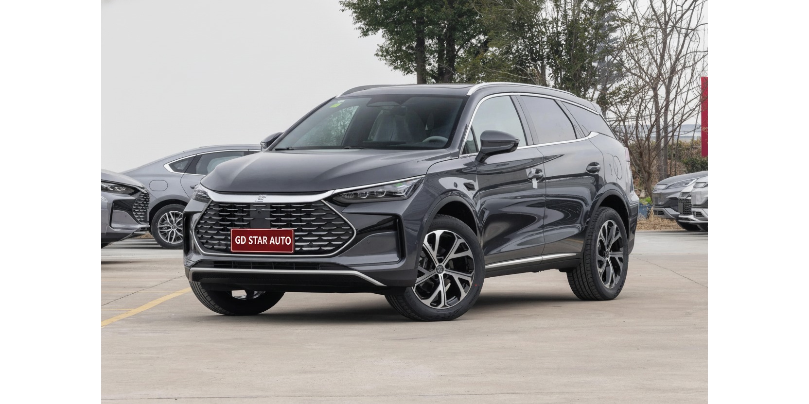 BYD Tang DM-i 2025 Smart Driving 115KM Flagship Edition