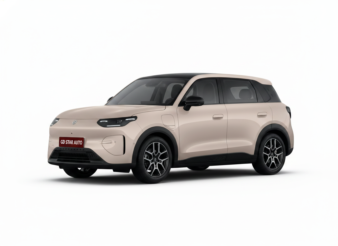 Leapmotor A10 505 Enjoy Version — 2