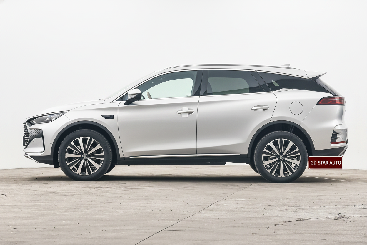 BYD Tang DM 2025 DM-i 115KM Honor Edition — 6