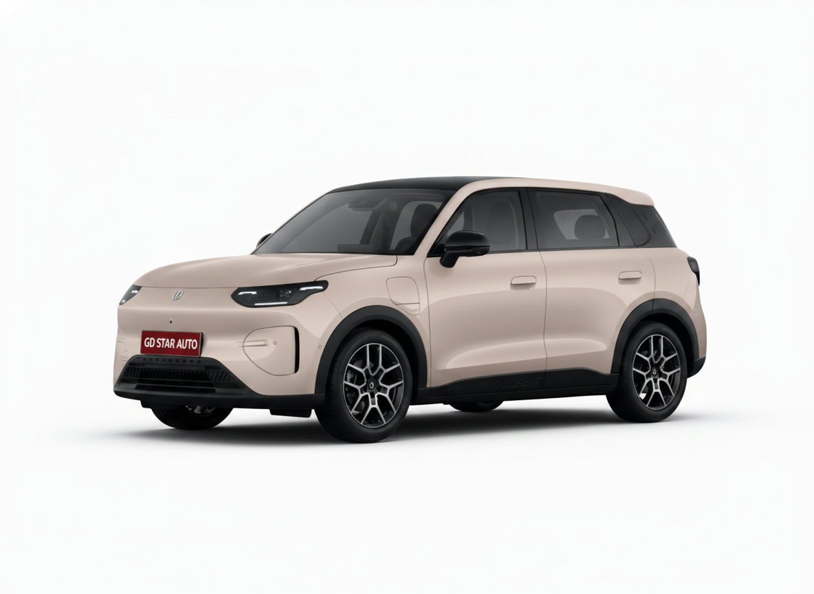 Leapmotor A10  403 Enjoy Version — 4