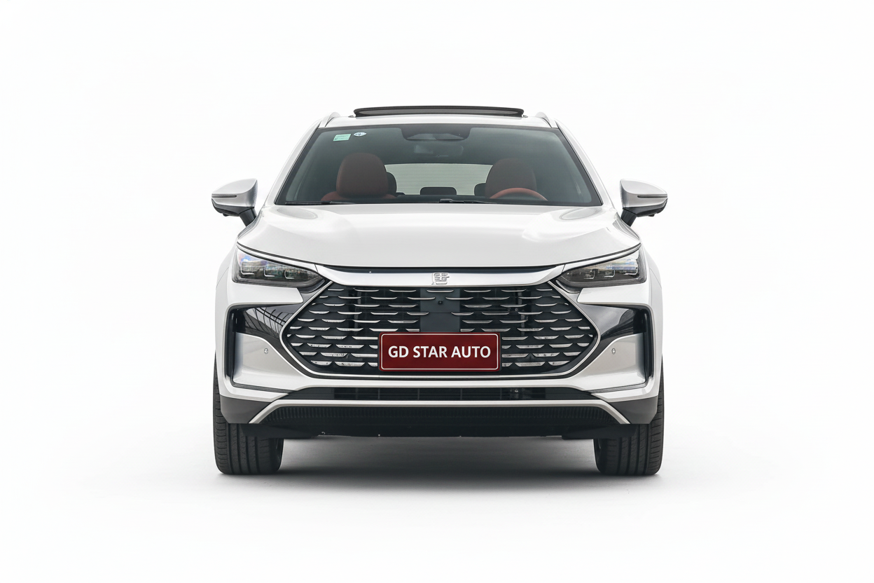 BYD Tang DM 2025 DM-i 115KM Honor Edition — 5