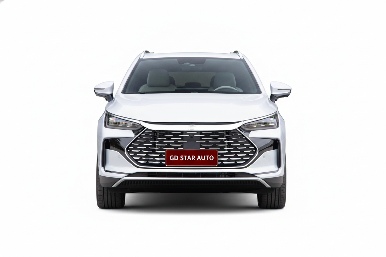 BYD Tang DM-i 115KM Intelligent Driving Premium Edition — 2