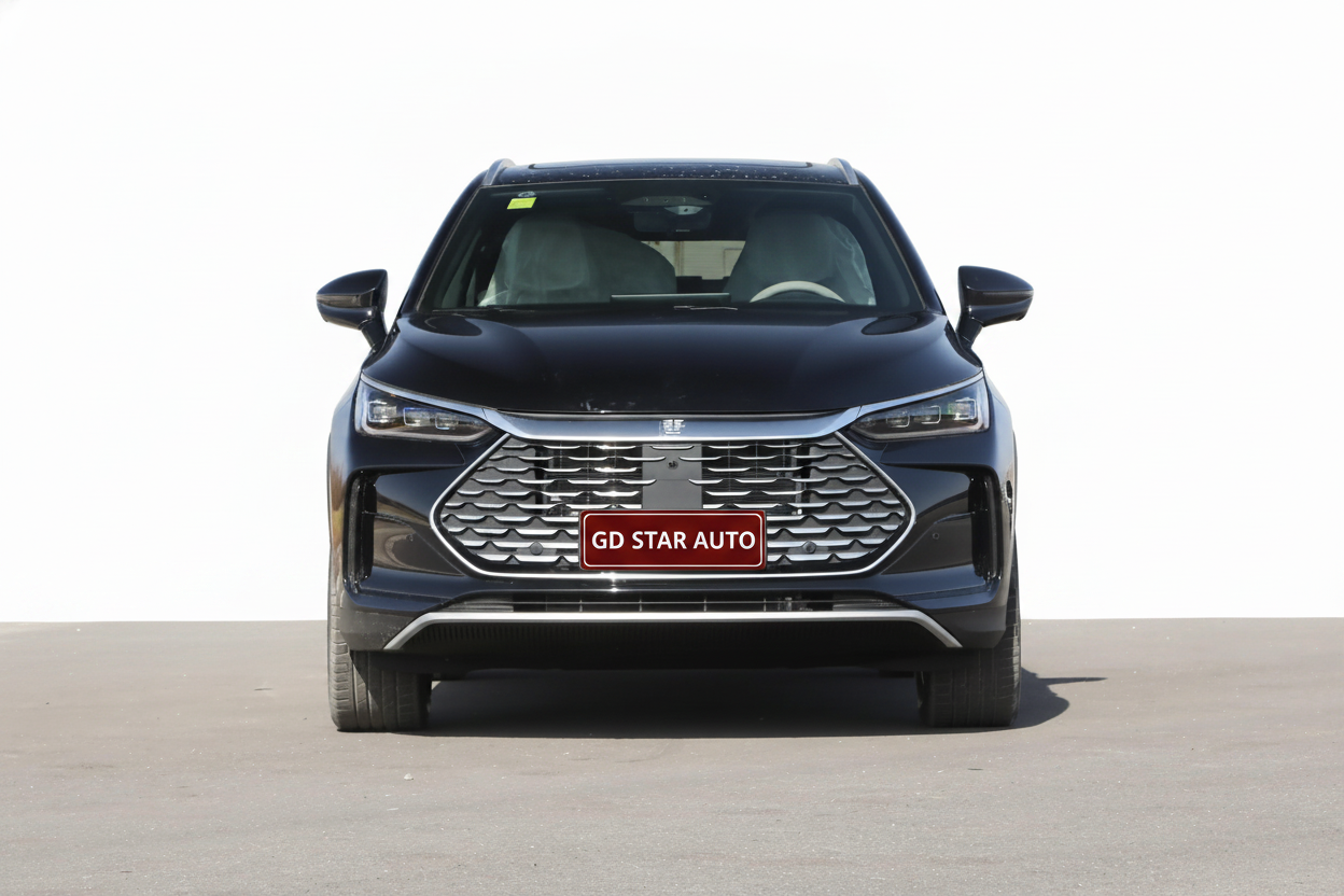BYD Tang DM-i 2025 Smart Driving 115KM Flagship Edition — 4