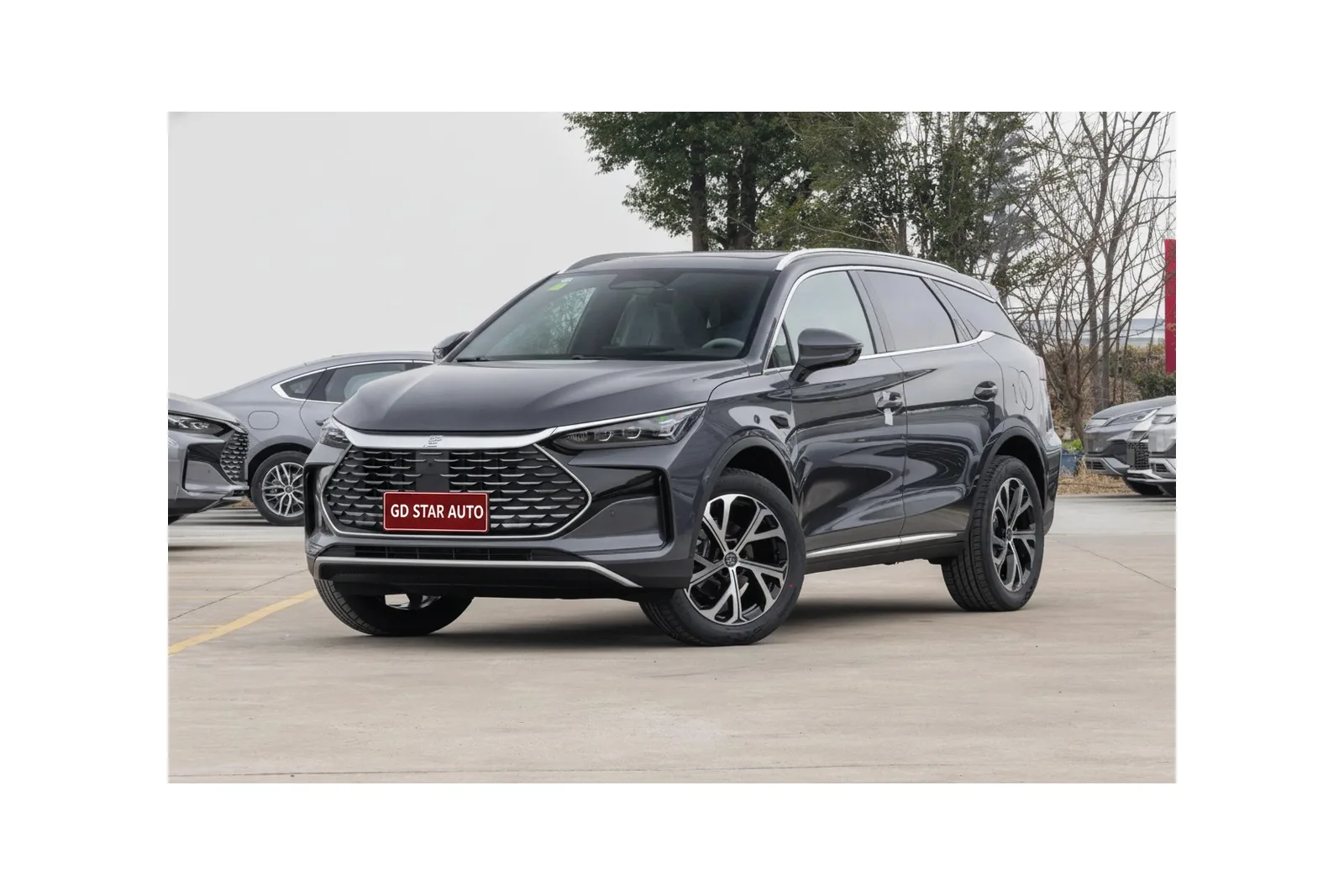 BYD Tang DM-i 2025 Smart Driving 115KM Flagship Edition